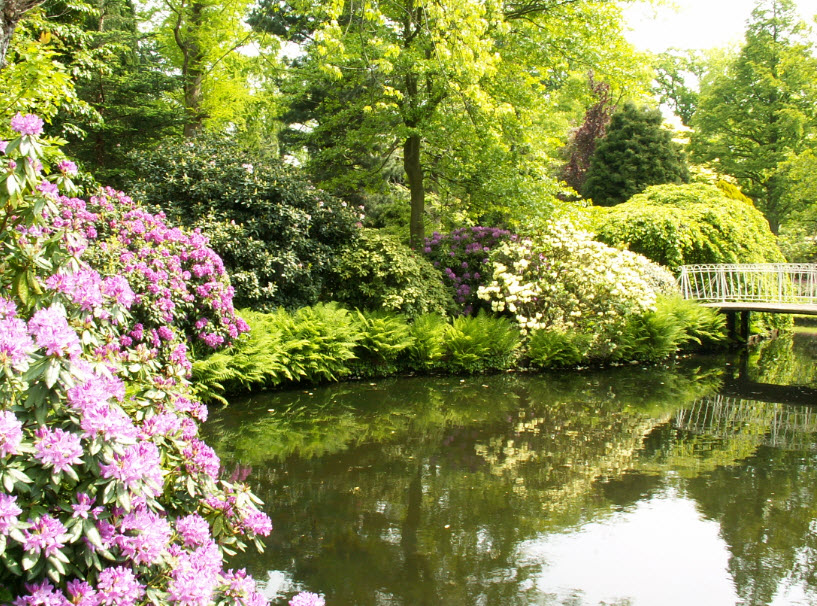 Arboretum Trompenburg, Netherlands